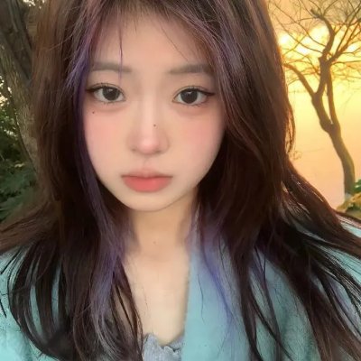 动物宝宝